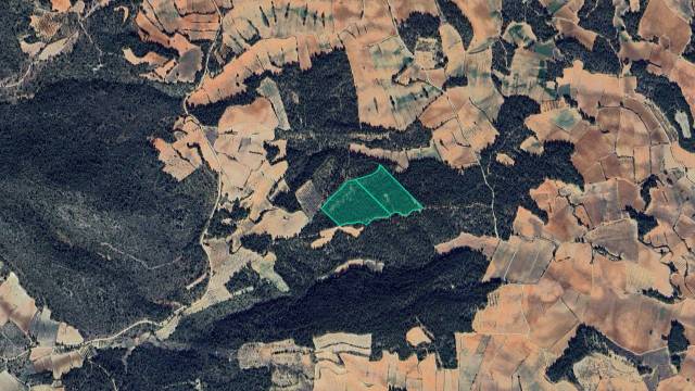 Terreno en Venta en Paraje Vallejos en Villargordo del Cabriel