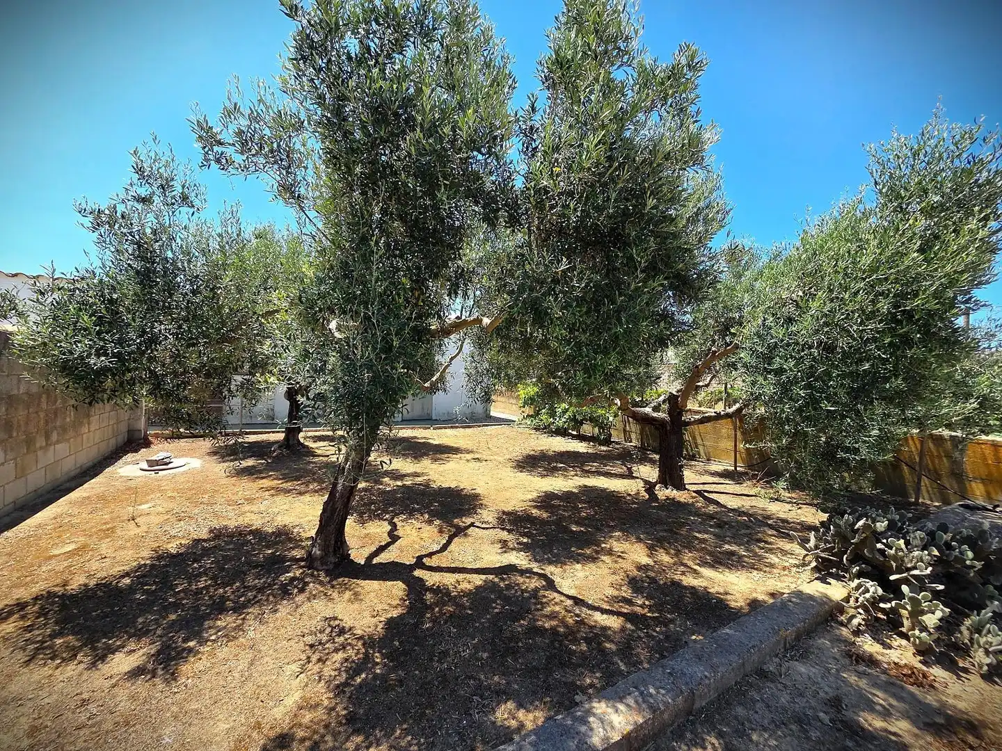 Jardí de Casa o xalet en venda en Chiclana de la Frontera amb Jardí privat