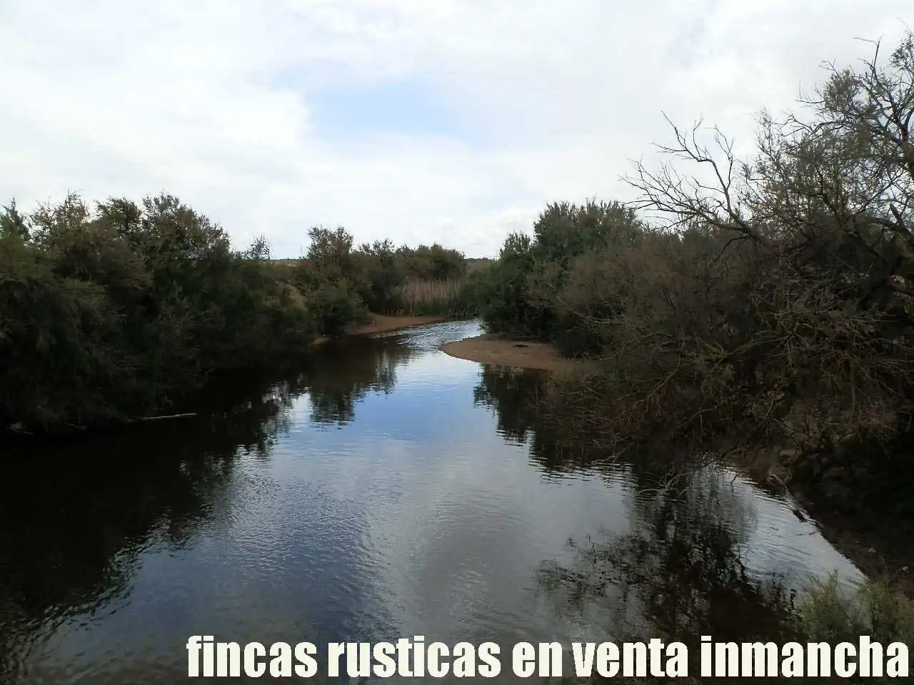 Terreny rústic en venda a Alcázar de San Juan, imagen 13