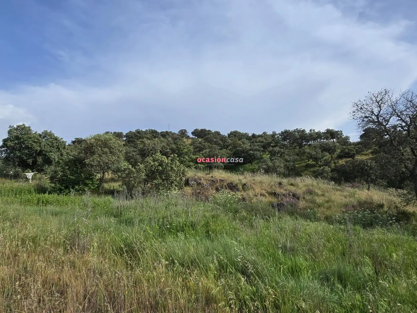 Casa o xalet en venda en Alcaracejos