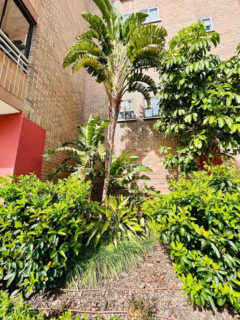 Vista exterior de Pis en venda en Alicante / Alacant amb Aire condicionat, Jardí privat i Moblat