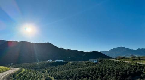 Foto 5 de Finca rústica en venda a Calle Virgen de la Cabeza, Pizarra, Málaga