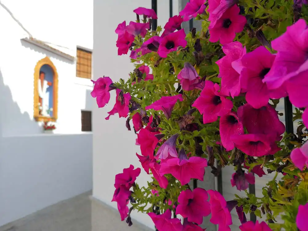 Garden of Detached homes for sale in Castro del Río  with Furnished