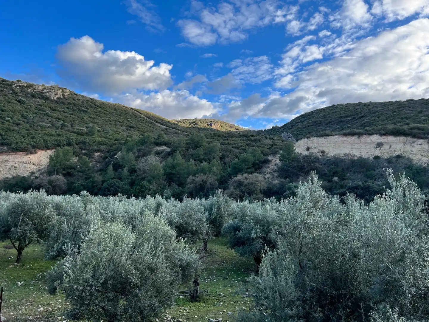 Vista exterior de Terreno en venta en Jaén