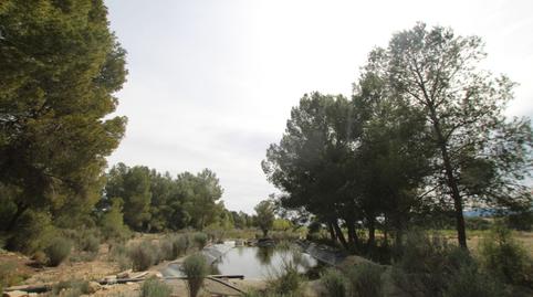 Foto 2 de Finca rústica en venta en Monóvar  / Monòver, Alicante
