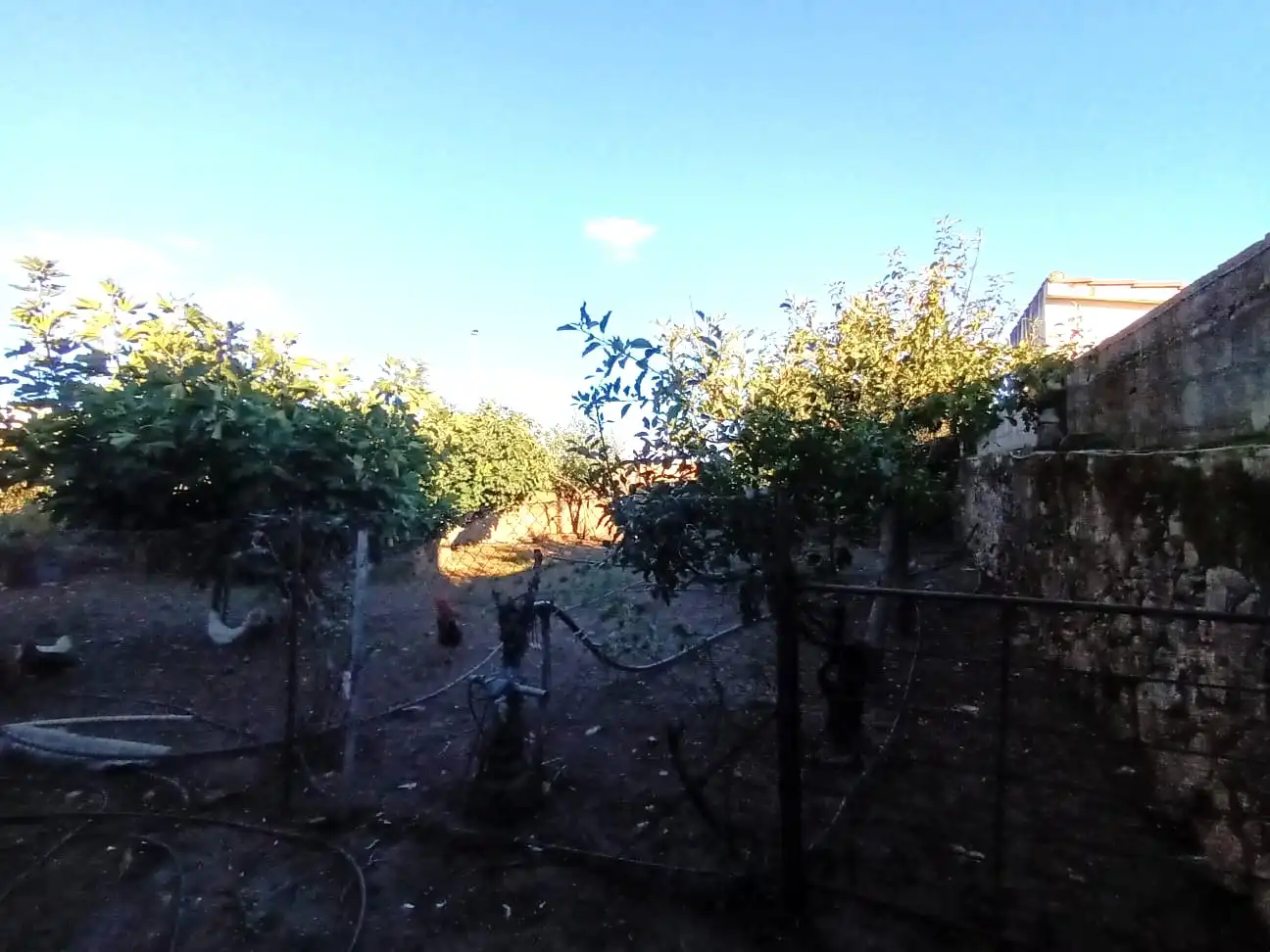 Terreni e lotti in vendita a Carretera Valverde de Mérida 11, imagen 12