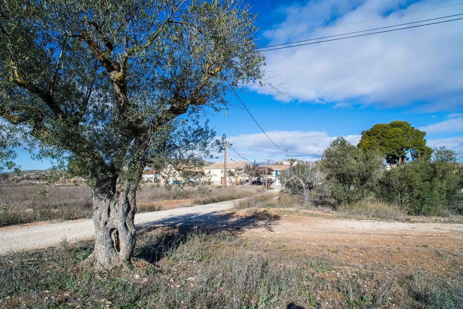 Landhaus zum Verkauf in El Pinós / Pinoso, imagen 12