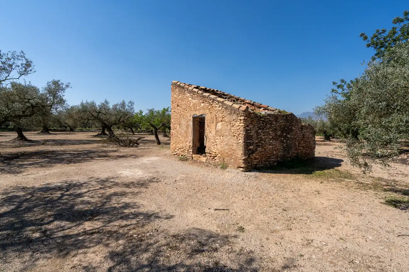 Terreno rustico in vendita a Camí Colomar 14, imagen 3