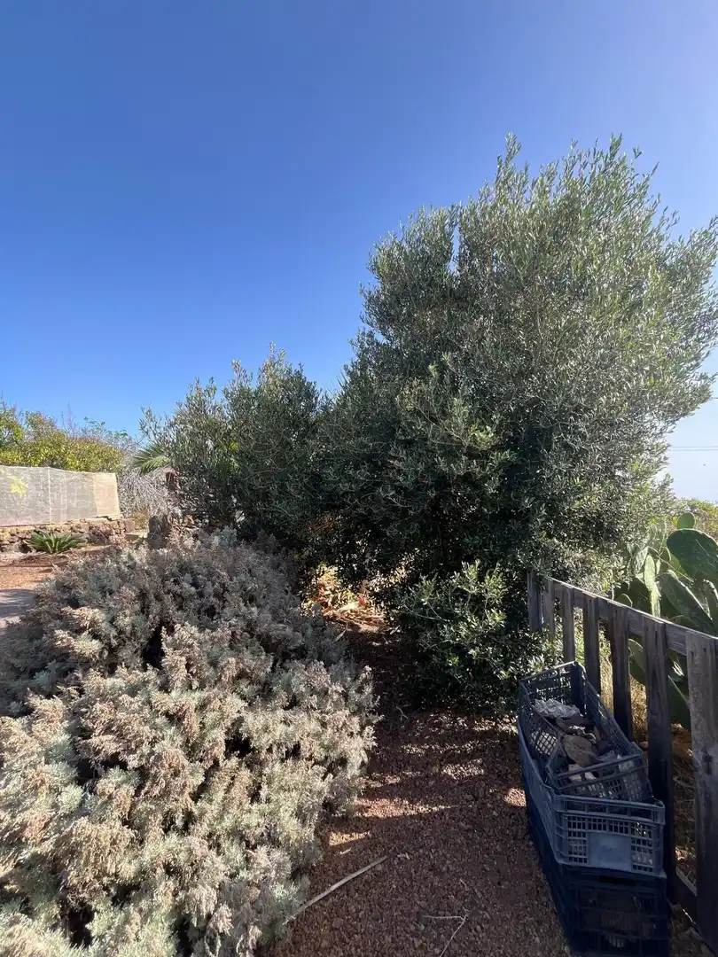 Residencial en venta en El Pinar de El Hierro