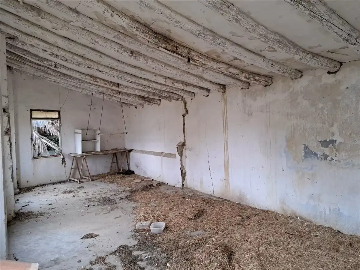 Detached homes for sale in Alcalá del Obispo