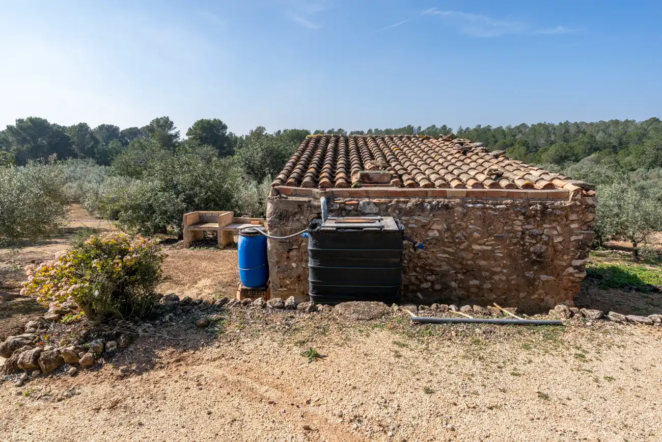 Terrain rustique à vendre à Camí Del Filato 1093, imagen 7