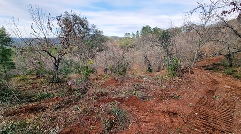 Foto 3 von Grundstücke zum Verkauf in Jabugo, Huelva