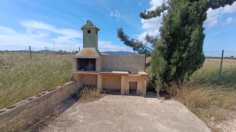 Finca Rustica Cmno. Juan Teresa  Raiguero Bajo Totana, immagine 5