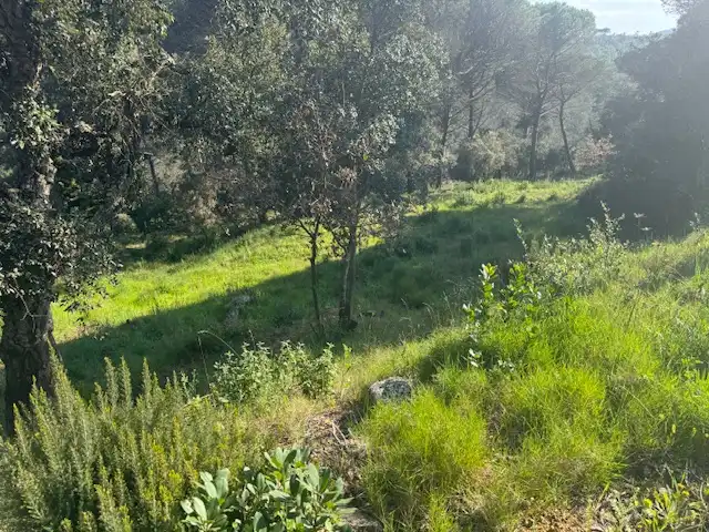 Residential land for sale in Ferrers, imagen 15