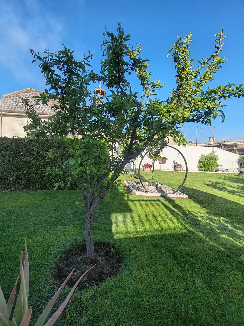 Jardín de Casa o chalet en venta en Santa Marta de Tormes con Calefacción