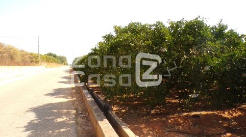 Se venden 2 parcelas.