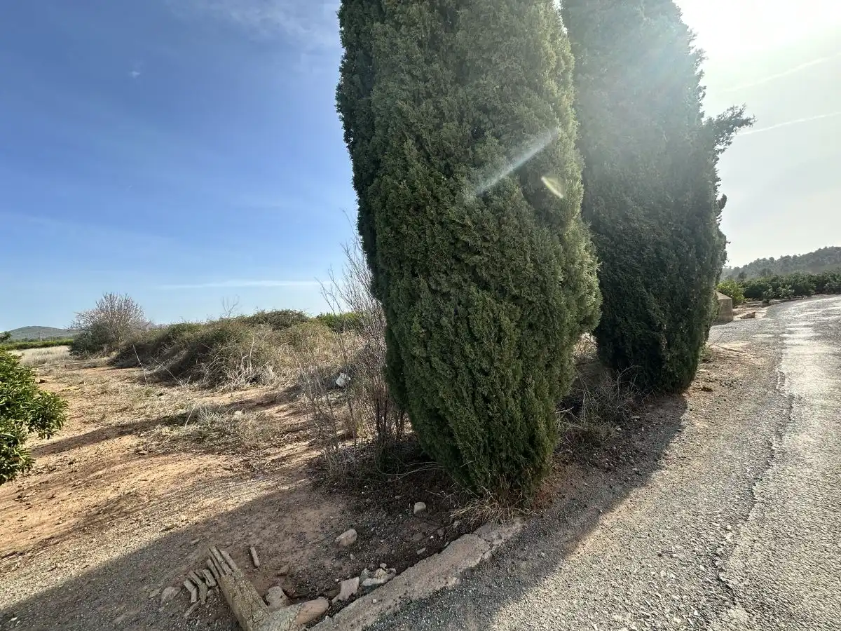 Terreno residencial en venta en Algímia de Alfara, imagen 4