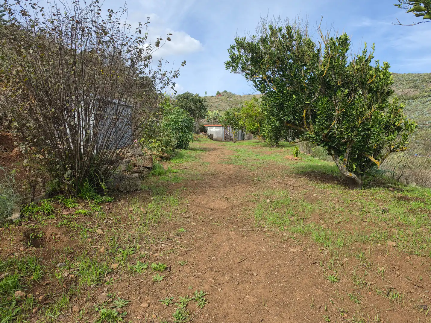 Finca rústica en venta en El Palmar