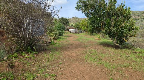 Foto 2 de Finca rústica en venta en Calle Lomo Los Silos, El Palmar, Teror