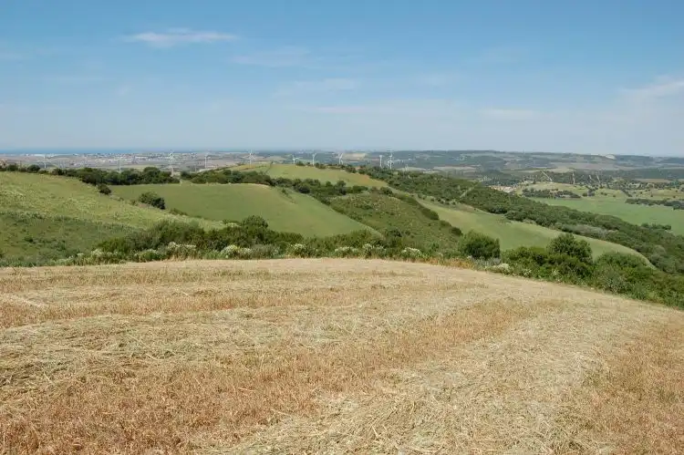 Terreni e lotti in vendita a La Muela, imagen 7