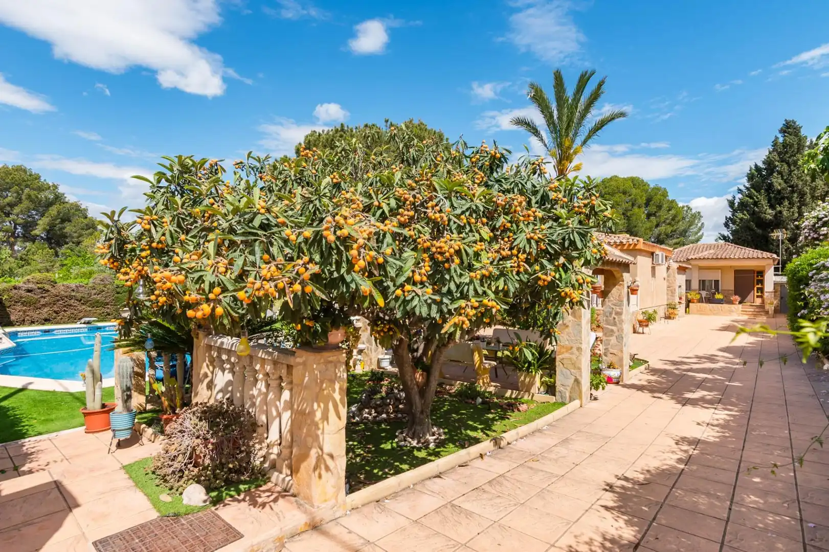 Jardí de Casa o xalet en venda en Molina de Segura amb Aire condicionat, Calefacció i Jardí privat