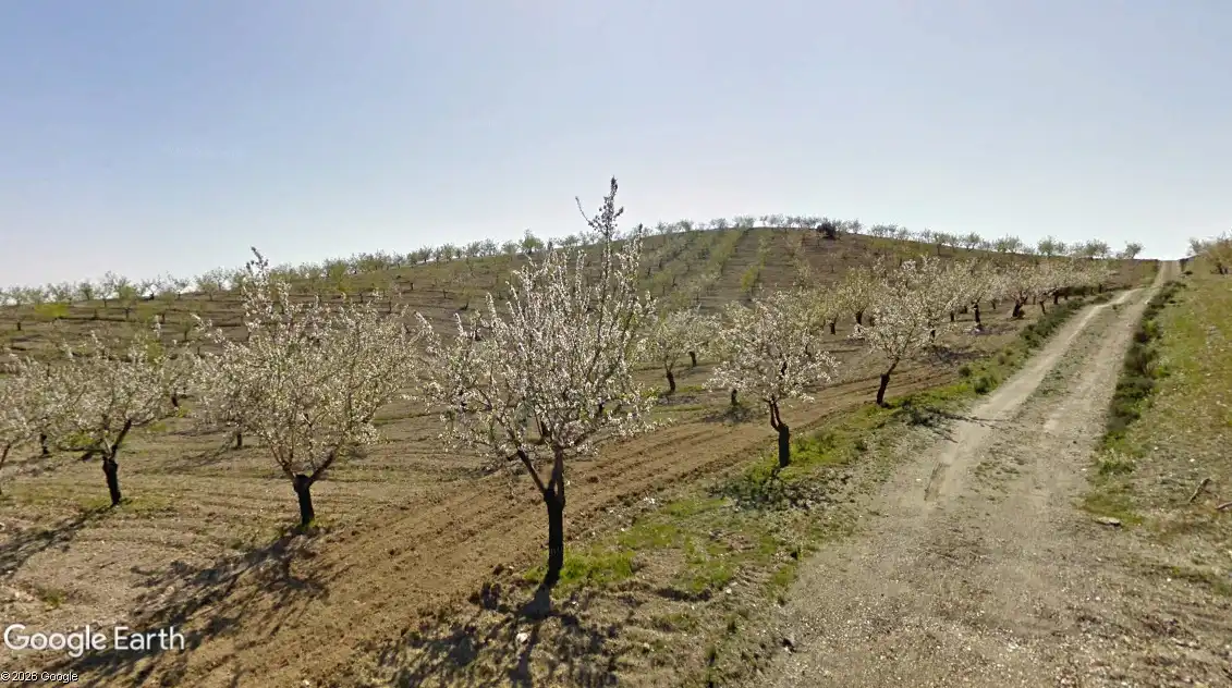 Terreno rustico in vendita a Taberno, imagen 2
