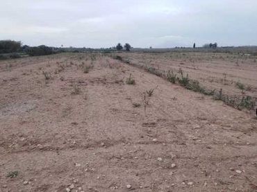 Terreno rustico in vendita a La Marina