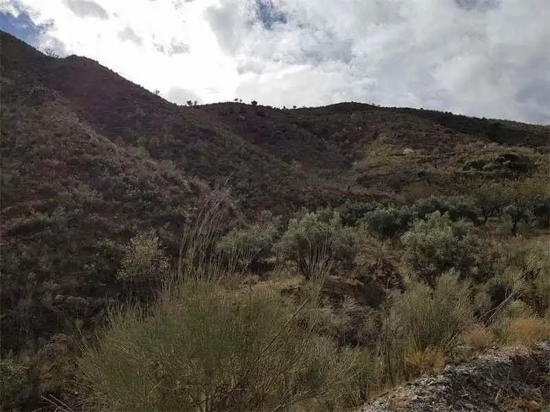 Grundstücke zum Verkauf in Albánchez