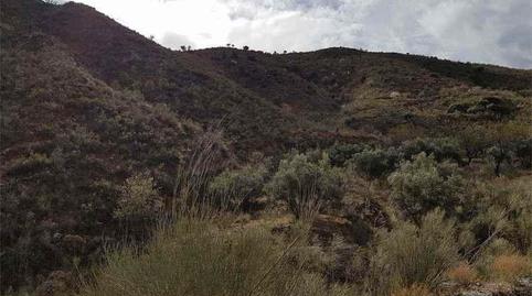 Foto 4 von Grundstücke zum Verkauf in Albánchez, Almería