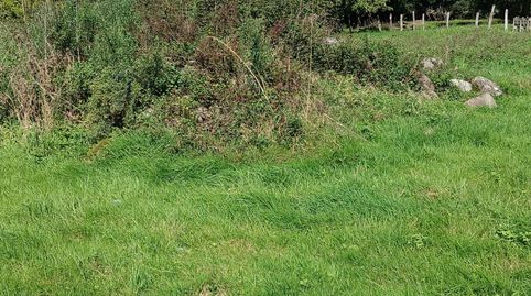 TERRENO URBANO MAZCUERRAS, immagine 4