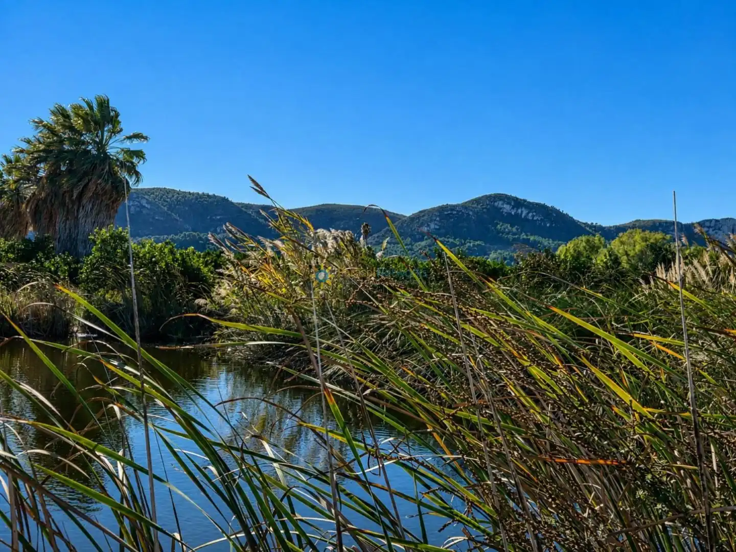 Vista exterior de Finca rústica en venta en Xeraco con Jardín privado, Terraza y Trastero
