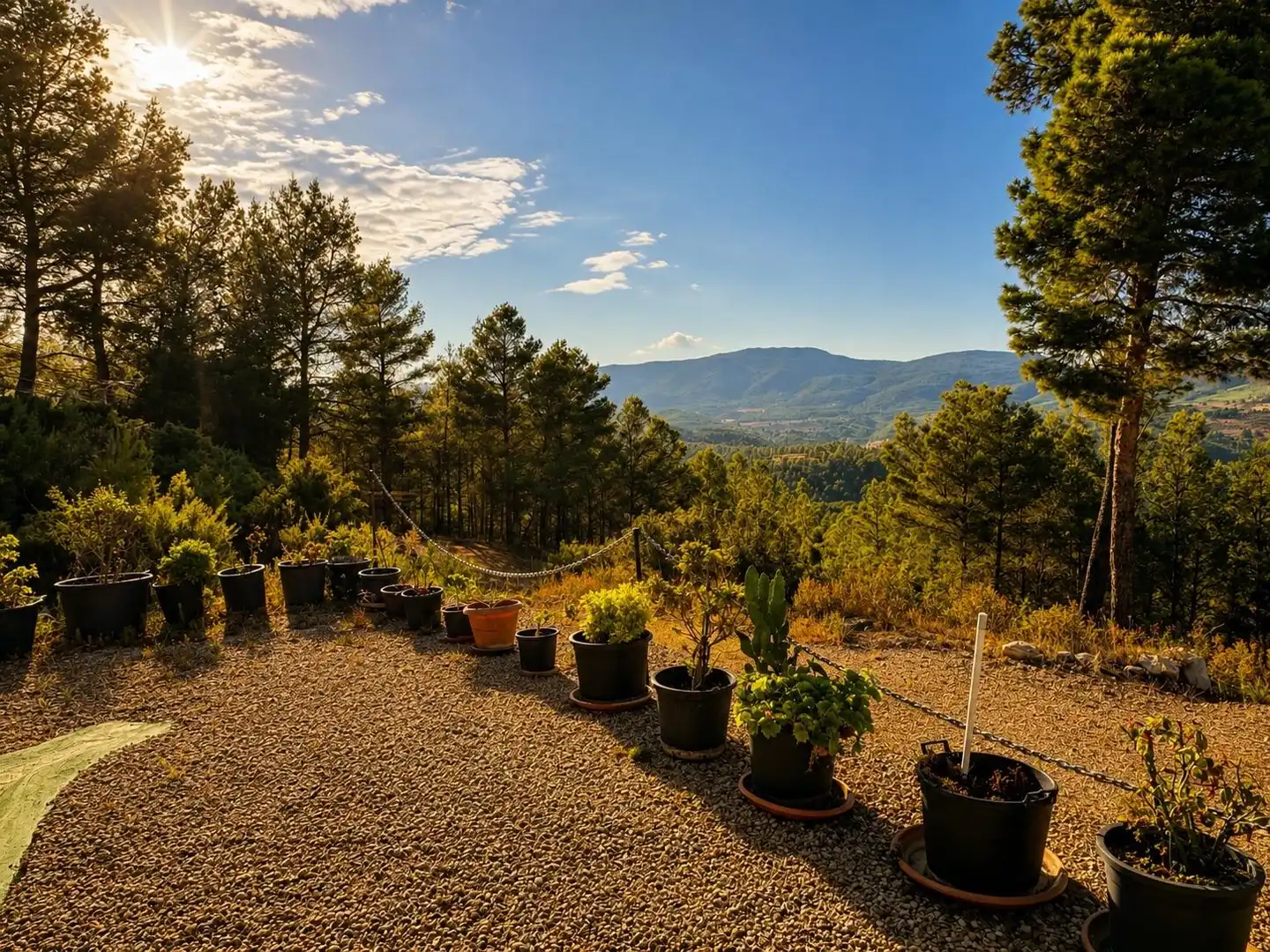 Casa rustica con giardino in vendita a Partida la Torre de les Maçanes/Torremanzanas, imagen 30