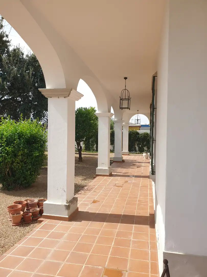 Chalet con piscina en venta en Parque de la Constitución 5a, imagen 18