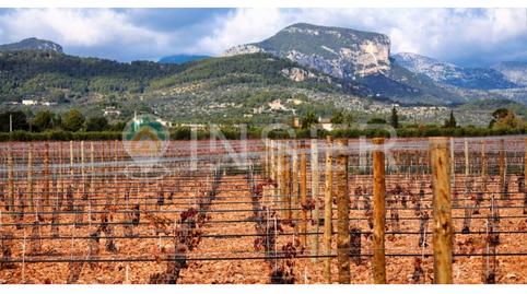 Photo 5 of Premises to rent in Sencelles, Illes Balears