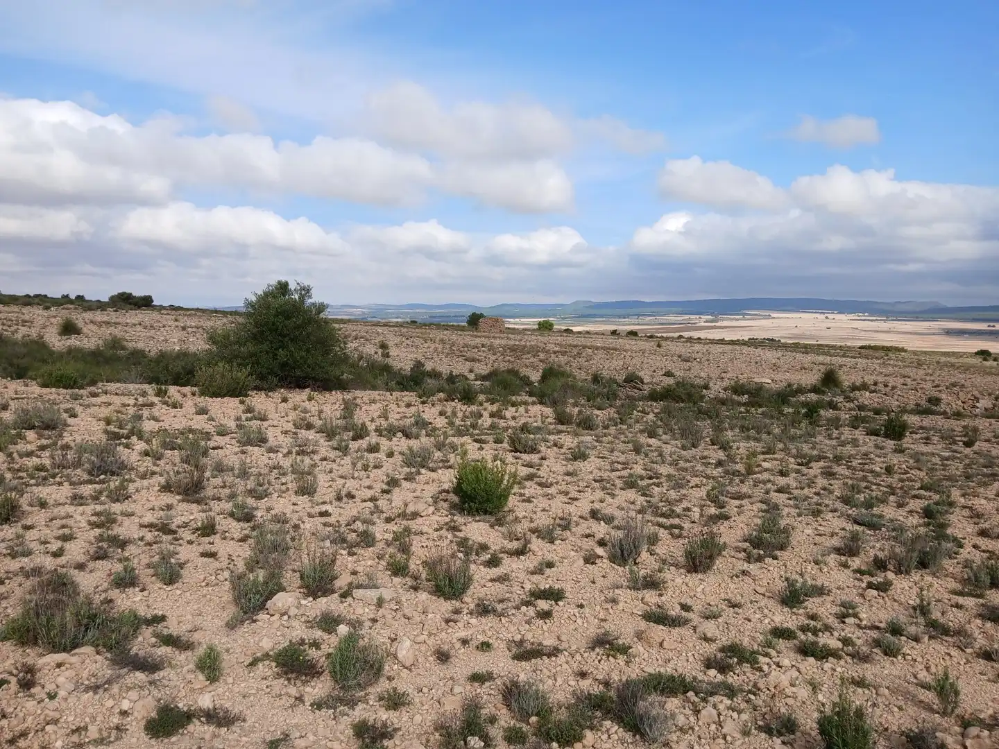 Residential land for sale in Yecla, imagen 4