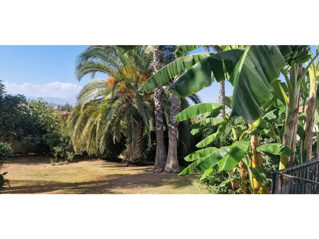 Chalet en venta en Urbanizacion Buenavista, imagen 10