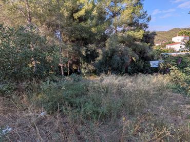 Terreny residencial en venda a Avinguda de la Generalitat