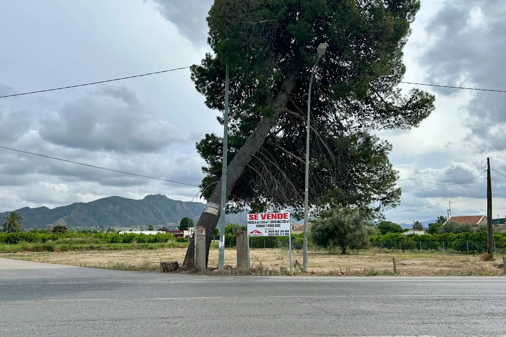 Vista exterior de Residencial en venta en  Murcia Capital
