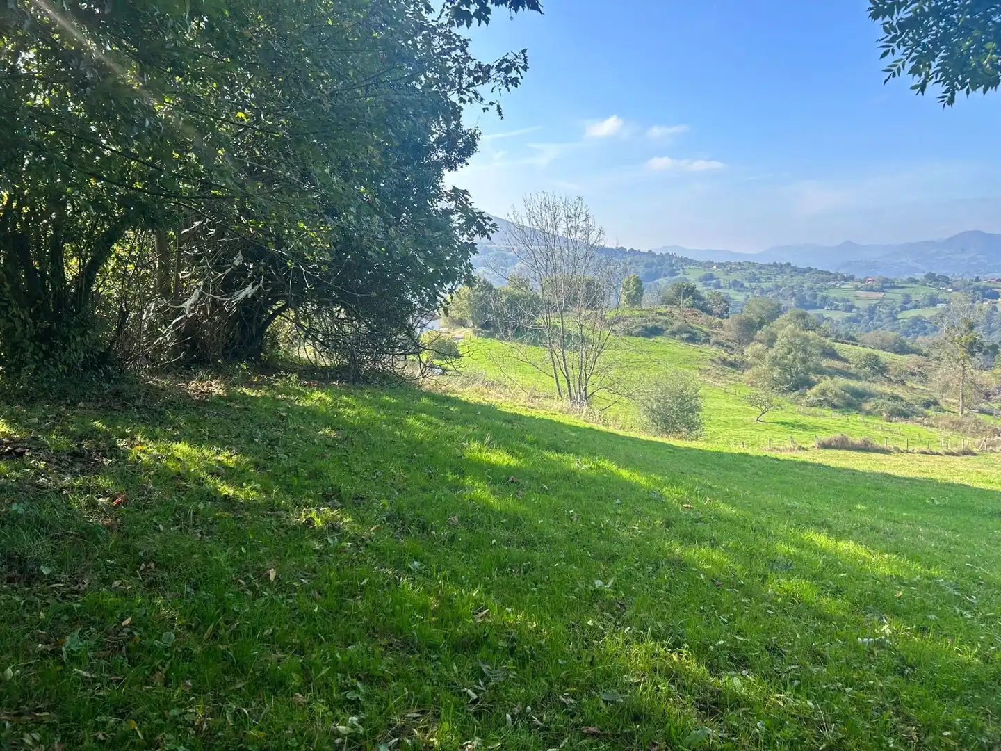 Terrenos y solares en venta en Parres, imagen 12