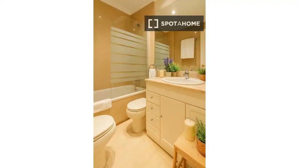 Room in El Pilar