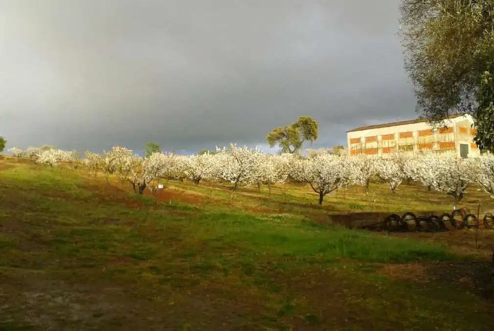Casa rustica in vendita a N/A, imagen 48