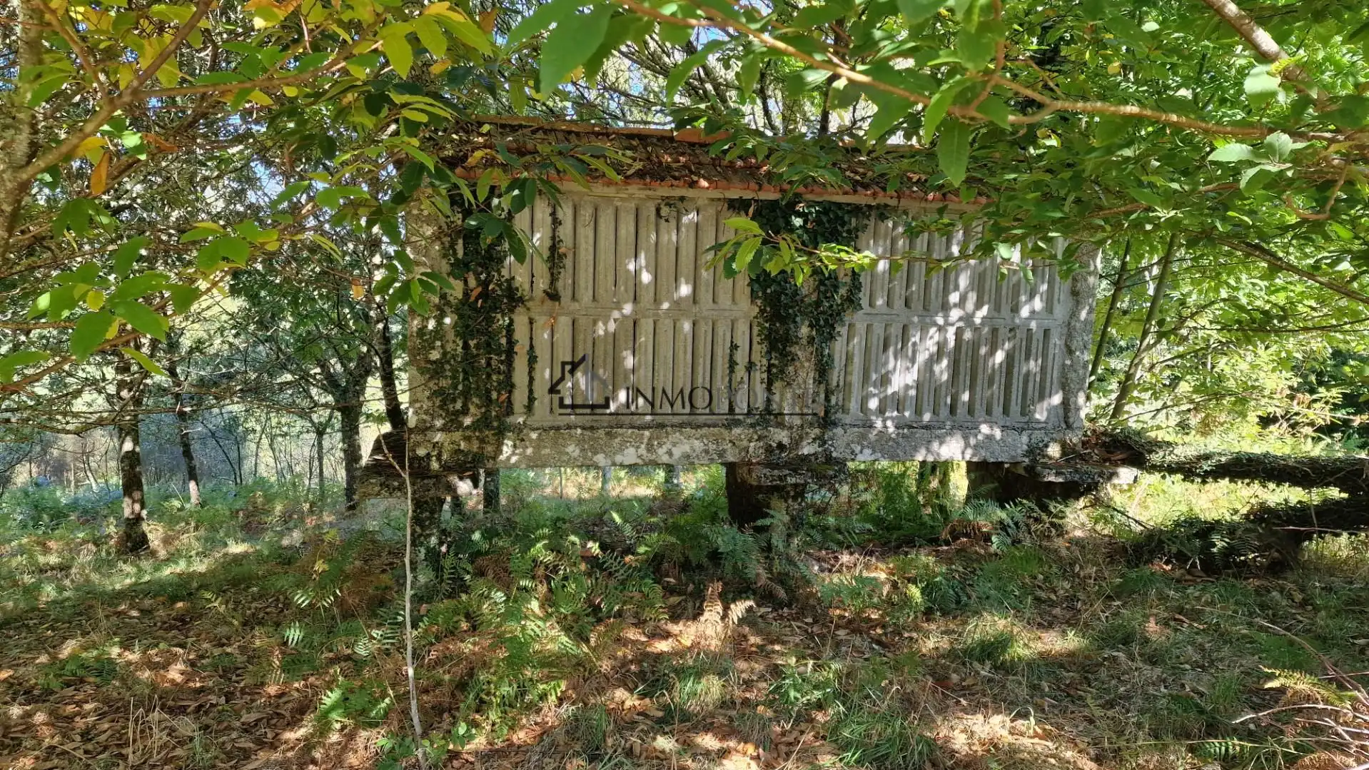 Houses for sale in Cerdedo