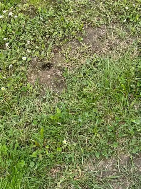 Rustikales Grundstück zum Verkauf in Erandio, imagen 27
