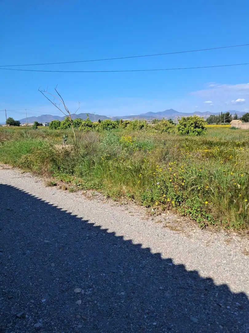 Rustikales Grundstück zum Verkauf in Pedanías Sur, imagen 14