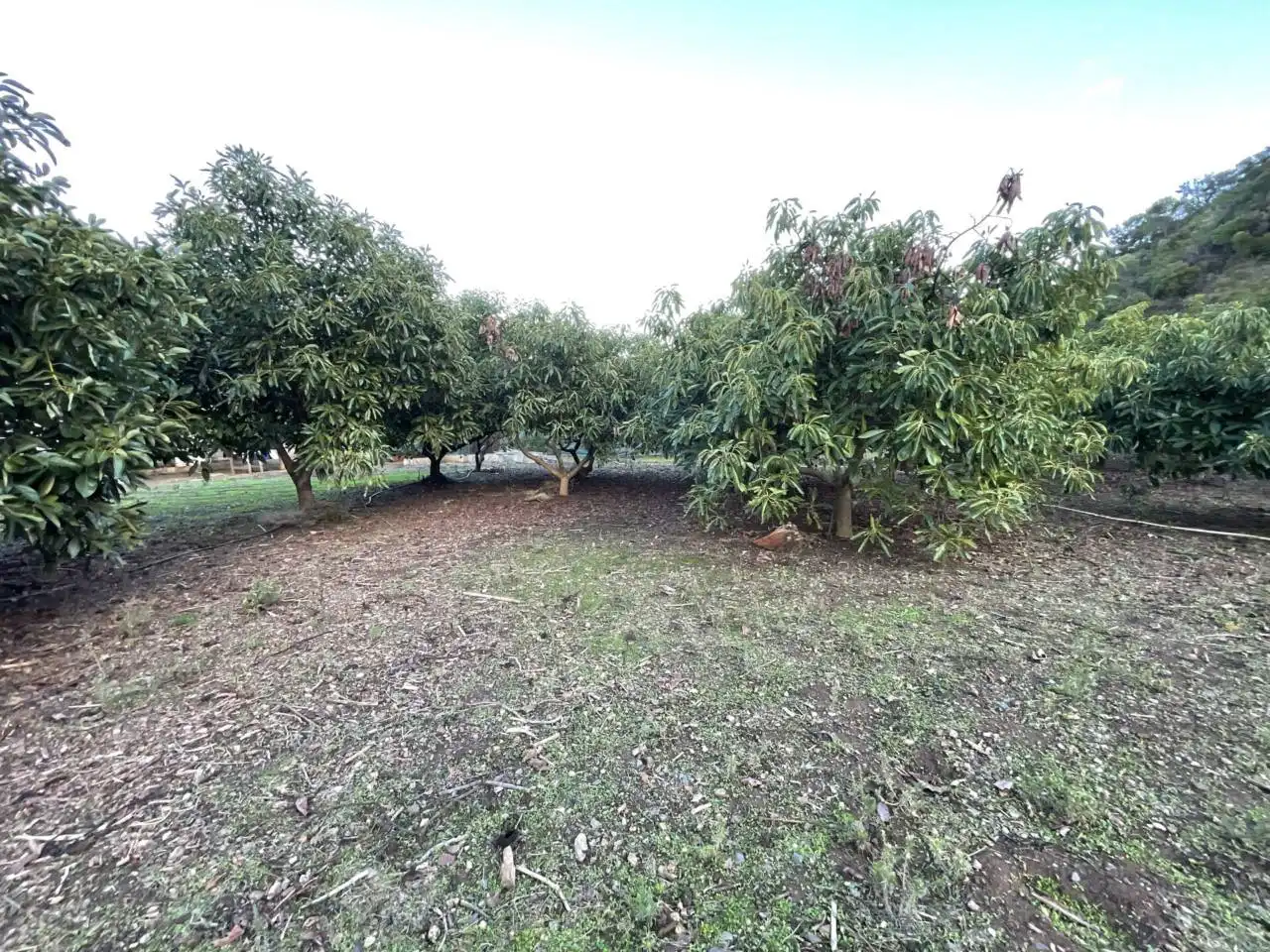 Finca rústica en venda en Estepona amb Aire condicionat, Calefacció i Jardí privat