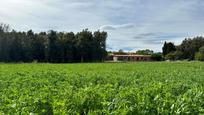 Vista exterior de Finca rústica en venda en Palafrugell amb Aire condicionat i Terrassa