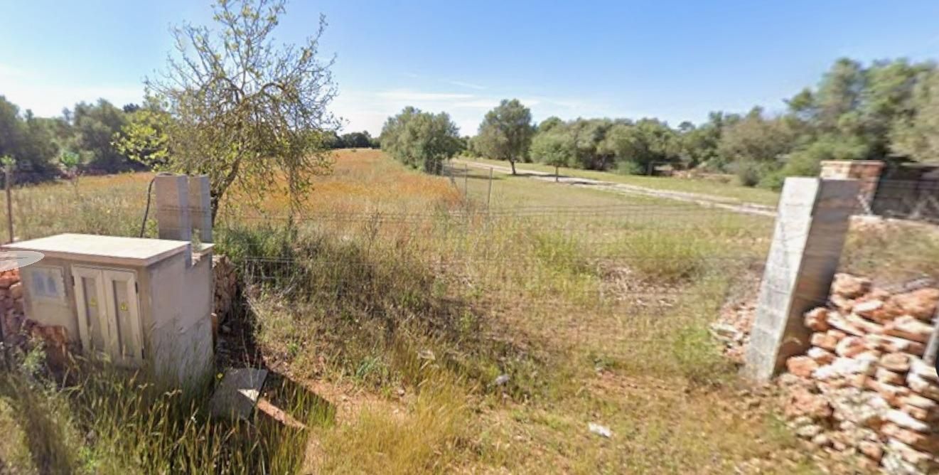 Land for sale in Algaida