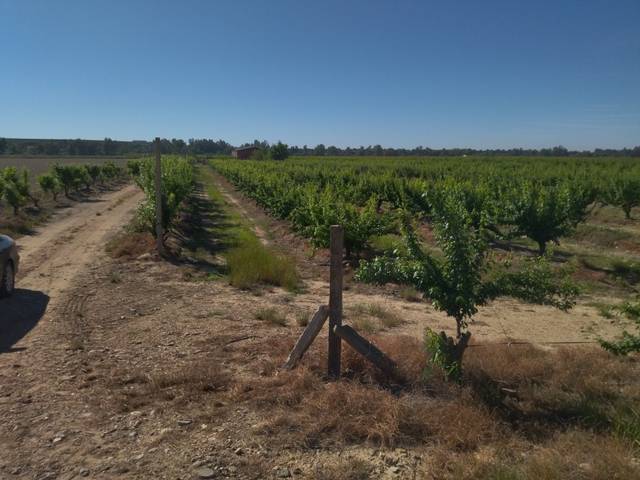 Terreno en Venta en Campo Lugar