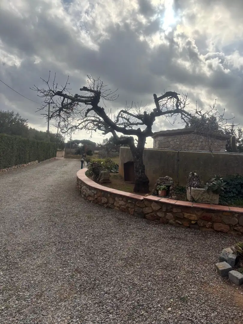 Garten von Grundstücke zum Verkauf in Reus