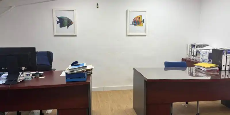 Nau industrial en venda en Pilas